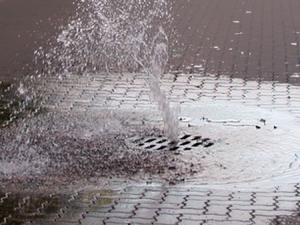 Backed Up Drain